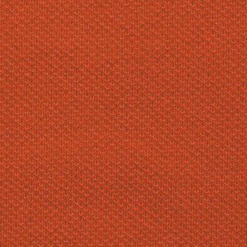 Signal Orange