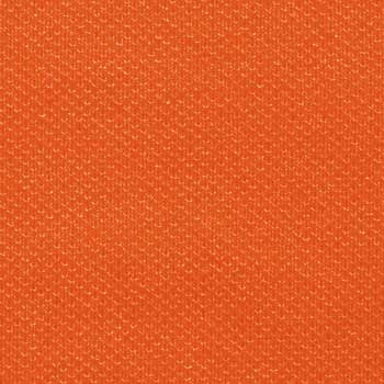 neon orange